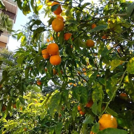 Per Famiglie! 公寓式酒店 欧斯佩达蒂